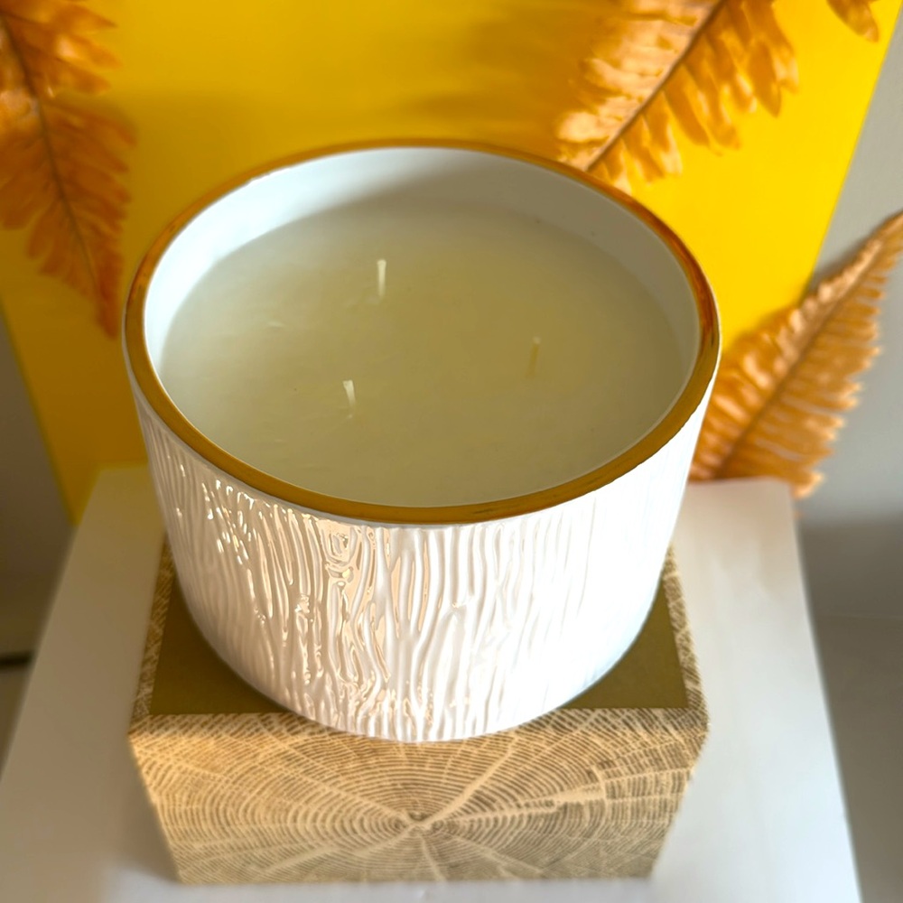Thymes Frasier Fir Candle 3 wick 20 oz - Picture 5 of 9